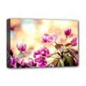 Paradise Apple Blossoms Deluxe Canvas 18  x 12  (Stretched) View1