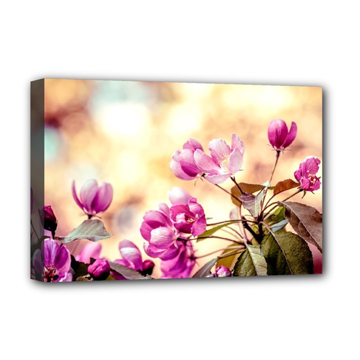 Paradise Apple Blossoms Deluxe Canvas 18  x 12  (Stretched)