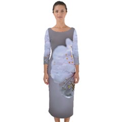 Rainy Day Of Hanami Season Quarter Sleeve Midi Bodycon Dress by FunnyCow