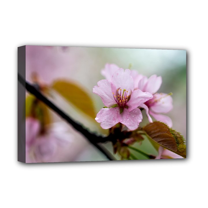 Soft Rains Of Spring Deluxe Canvas 18  x 12  (Stretched)