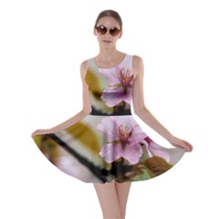 Soft Rains Of Spring Skater Dress by FunnyCow