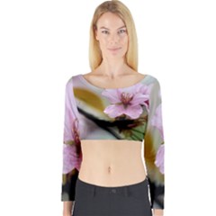 Soft Rains Of Spring Long Sleeve Crop Top by FunnyCow