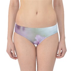 Soft Rains Of Spring Hipster Bikini Bottoms by FunnyCow