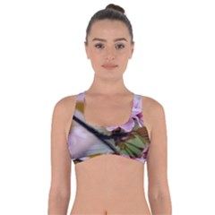 Soft Rains Of Spring Got No Strings Sports Bra by FunnyCow