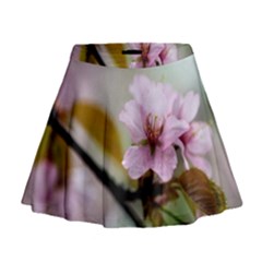 Soft Rains Of Spring Mini Flare Skirt by FunnyCow