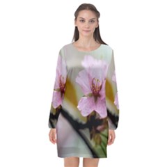 Soft Rains Of Spring Long Sleeve Chiffon Shift Dress  by FunnyCow