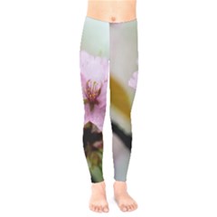 Soft Rains Of Spring Kids  Legging by FunnyCow