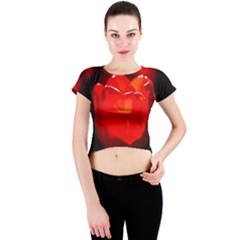 Red Tulip A Bowl Of Fire Crew Neck Crop Top by FunnyCow