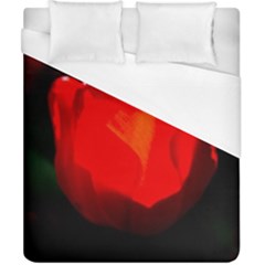 Red Tulip A Bowl Of Fire Duvet Cover (california King Size) by FunnyCow