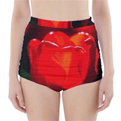 Red Tulip A Bowl Of Fire High-waisted Bikini Bottoms by FunnyCow