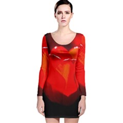 Red Tulip A Bowl Of Fire Long Sleeve Velvet Bodycon Dress by FunnyCow