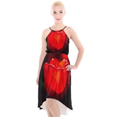 Red Tulip A Bowl Of Fire High-low Halter Chiffon Dress  by FunnyCow