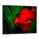 Red Tulip After The Shower Canvas 20  x 16  (Stretched) View1