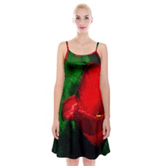 Red Tulip After The Shower Spaghetti Strap Velvet Dress by FunnyCow