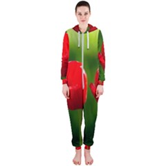 Three Red Tulips, Green Background Hooded Jumpsuit (ladies)  by FunnyCow