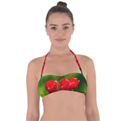 Three Red Tulips, Green Background Halter Bandeau Bikini Top by FunnyCow