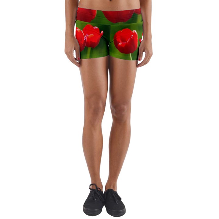 Three Red Tulips, Green Background Yoga Shorts