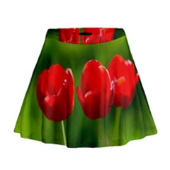 Three Red Tulips, Green Background Mini Flare Skirt by FunnyCow