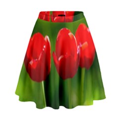 Three Red Tulips, Green Background High Waist Skirt by FunnyCow