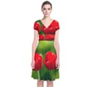 Three Red Tulips, Green Background Short Sleeve Front Wrap Dress View1