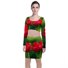 Three Red Tulips, Green Background Top And Skirt Sets by FunnyCow