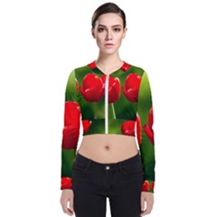 Three Red Tulips, Green Background Zip Up Bomber Jacket by FunnyCow