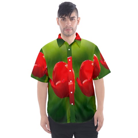 Three Red Tulips, Green Background Men s Short Sleeve Shirt by FunnyCow