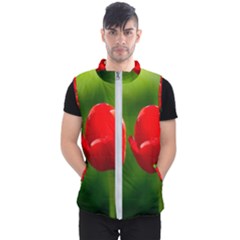 Three Red Tulips, Green Background Men s Puffer Vest by FunnyCow