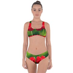 Three Red Tulips, Green Background Criss Cross Bikini Set by FunnyCow