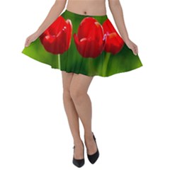 Three Red Tulips, Green Background Velvet Skater Skirt by FunnyCow