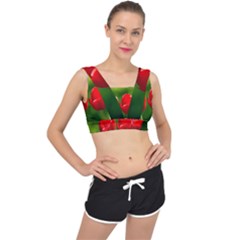 Three Red Tulips, Green Background V-back Sports Bra by FunnyCow