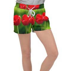 Three Red Tulips, Green Background Women s Velour Lounge Shorts by FunnyCow