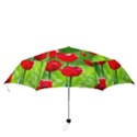 Red Tulip Flowers, Sunny Day Folding Umbrellas View3