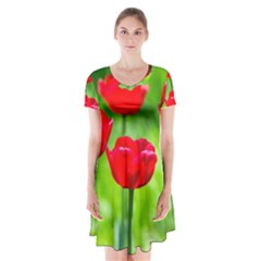 Red Tulip Flowers, Sunny Day Short Sleeve V-neck Flare Dress by FunnyCow