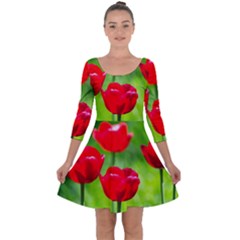 Red Tulip Flowers, Sunny Day Quarter Sleeve Skater Dress