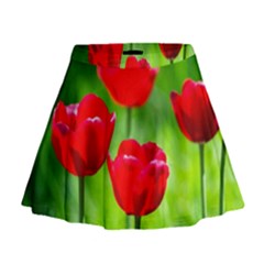 Red Tulip Flowers, Sunny Day Mini Flare Skirt by FunnyCow