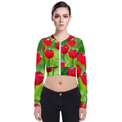 Red Tulip Flowers, Sunny Day Zip Up Bomber Jacket by FunnyCow