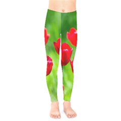 Red Tulip Flowers, Sunny Day Kids  Legging by FunnyCow