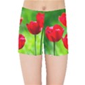 Red Tulip Flowers, Sunny Day Kids Sports Shorts View1