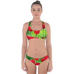 Red Tulip Flowers, Sunny Day Cross Back Hipster Bikini Set by FunnyCow