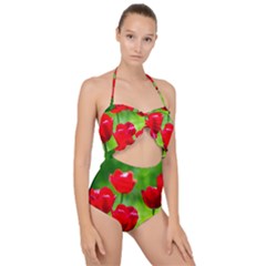 Red Tulip Flowers, Sunny Day Scallop Top Cut Out Swimsuit