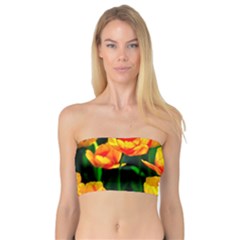 Yellow Orange Tulip Flowers Bandeau Top by FunnyCow