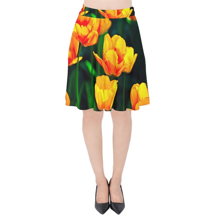 Yellow Orange Tulip Flowers Velvet High Waist Skirt