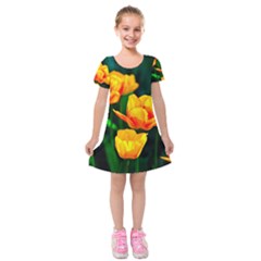 Yellow Orange Tulip Flowers Kids  Short Sleeve Velvet Dress by FunnyCow