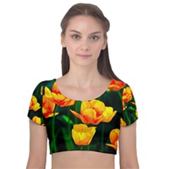 Yellow Orange Tulip Flowers Velvet Short Sleeve Crop Top  by FunnyCow