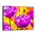 Violet Tulip Flowers Canvas 16  x 12  (Stretched) View1