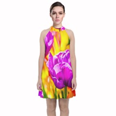 Violet Tulip Flowers Velvet Halter Neckline Dress  by FunnyCow