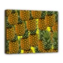 Tropical Pineapple Canvas 14  x 11  (Stretched) View1