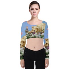 Cat And Butterflies Velvet Long Sleeve Crop Top by snowwhitegirl