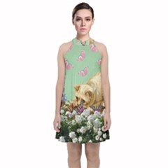 Cat And Butterflies Green Velvet Halter Neckline Dress  by snowwhitegirl